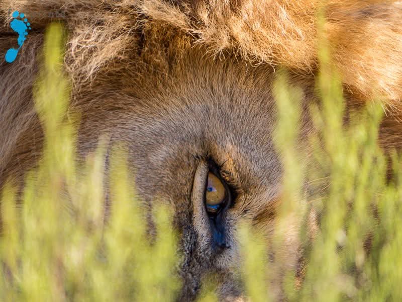 FB_IMG_1741503115204